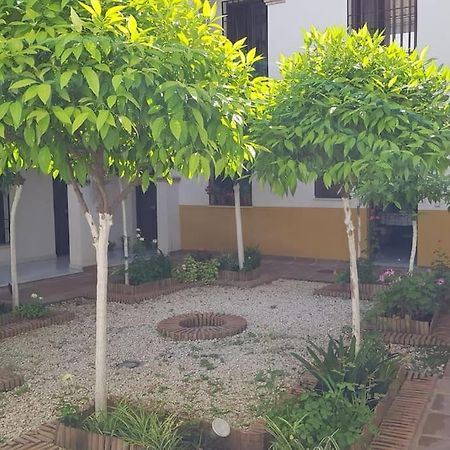 Precioso Apartamento Junto A Plaza La Corredera กอร์โดบา ภายนอก รูปภาพ