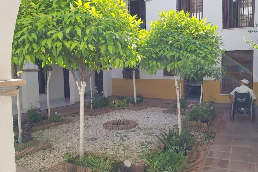 Precioso Apartamento Junto A Plaza La Corredera กอร์โดบา ภายนอก รูปภาพ
